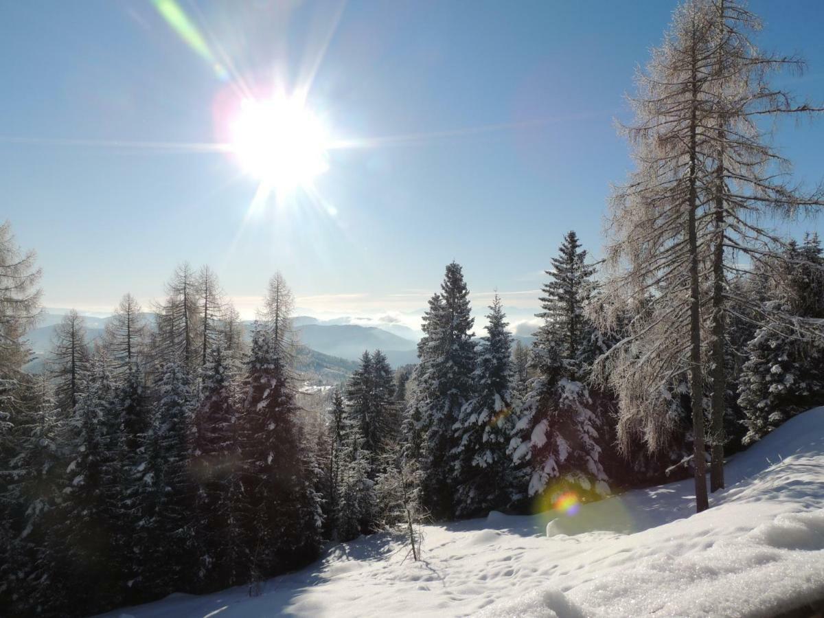 Villa-Alpenblick Hochrindl Exteriér fotografie